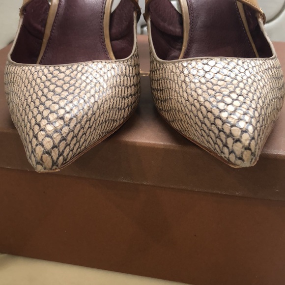 COACH Snake print leather pumps!!! - Picture 5 of 7